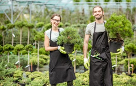 Fresh Horticultural Careers - workers